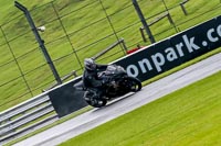 PJ-Motorsport-Photography-2020;anglesey;brands-hatch;cadwell-park;croft;donington-park;enduro-digital-images;event-digital-images;eventdigitalimages;mallory;no-limits;oulton-park;peter-wileman-photography;racing-digital-images;silverstone;snetterton;trackday-digital-images;trackday-photos;vmcc-banbury-run;welsh-2-day-enduro